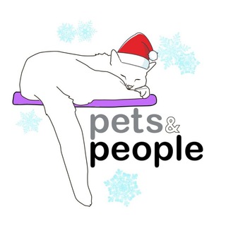 PETS&PEOPLE | ВСЁ О КОТАХ