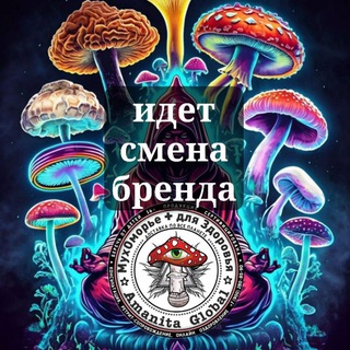AMANITA GLOBAL -  МУХОМОРЬЕ ДЛЯ ЗДОРОВЬЯ  МЕРКУЛ МАХАМАР