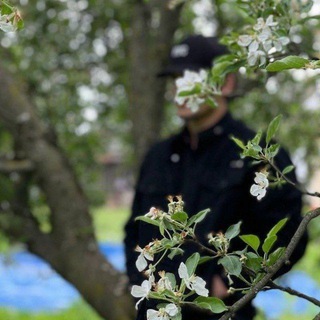 ꞮSʟᴀᴍSᴋꞮʏ_ɴᴀSʜꞮᴅ 