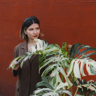 ПОЗДРАВЛЯЮ, У ВАС РАСТЕНИЕ