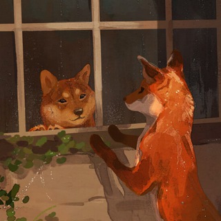 FUNNY FOX & SHIBA SHORTS