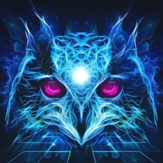 ЛИКВИДАЦИЯ ФИРМ