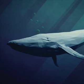WHALE FRIEND