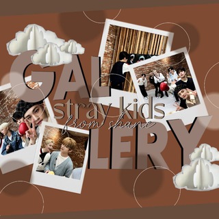 СТРЕЙКИДС | СТЕЙ ˢʰᵃᶰᵉ