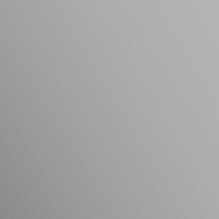 VICTORIA BORODINA / OCITIZENS.COM