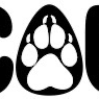 OFFICIAL VANCOUFUR 2024: CLAWS & CLOCKWORK (SFW) - WE ARE A PRO-NANAIMO BAR SPACE