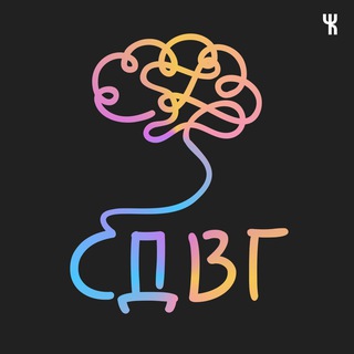 ГДЕ МОЁ ВНИМАНИЕ?