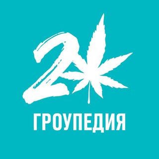 ГРОУПЕДИЯ DZAGI