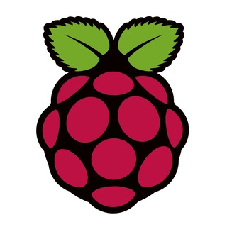 RASPBERRY PI (INDONESIA & MELAYU)