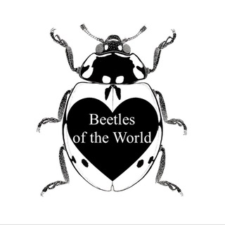 BEETLES OF THE WORLD