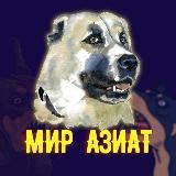 МИР АЗИАТ