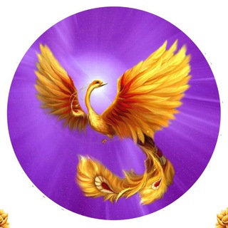 КЛУБ ОСОЗНАННЫХ ПУТЕШЕСТВИЙ ЗОЛОТОЙ ФЕНИКС (РОСТОВ-НА-ДОНУ)