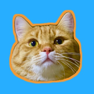 MITAY_CO