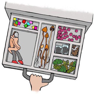 СОМЫ ГРАММ — И НЕТУ ДРАМ