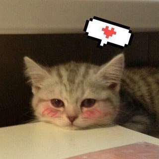 МУЗЫКА В ДОРОГУ