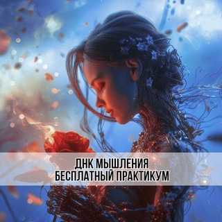 ПРАКТИКУМ ДНК МЫШЛЕНИЯ