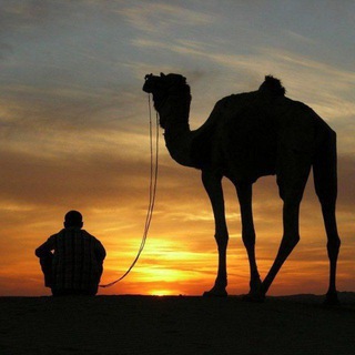 ЕГИПЕТ ГЛАЗАМИ СТУДЕНТА