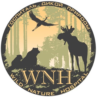 WILD NATURE HOSPITAL ГОСПИТАЛЬ ДИКОЙ ПРИРОДЫ