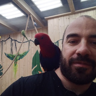 ЛЕСМАН АРТЁМ | ПСИХОЛОГ, ПСИХОТЕРАПЕВТ