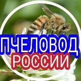 ПЧЕЛОВОД РФ  (РУССКОЕ ОБЩЕСТВО ПЧЕЛОВОДСТВА (РОП)), ПАСЕКА; BEEKEEPING) КАНАЛ: МЕДОЛОВ