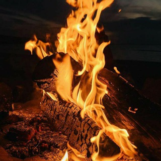 ОБОИ ДЛЯ ВСЕХ