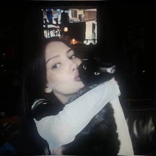 ЗАПРОСЫ НА ПВС.