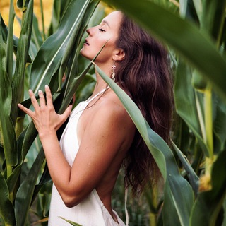 МЕДИТАЦИИ VPOTOKE