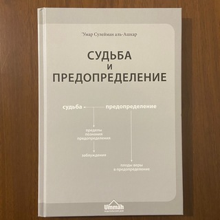 СУДЬБА И ПРЕДОПРЕДЕЛЕНИЕ - АУДИОКНИГА