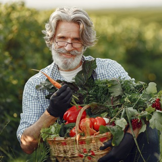 БЫВАЛЫЙ ОГОРОДНИК