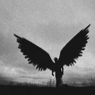 УГОЛОВНОЕ ПРАВО