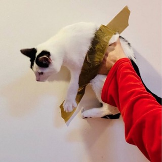 МАТ, СКОТЧ И GOOGLE-DOC