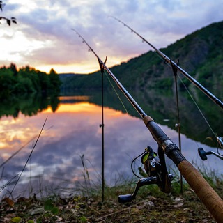 РЫБАЛКА * ДАЧНИК