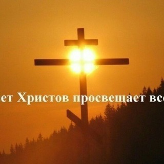 СВЕТ - ХРИСТОВ (WHATSAPP)