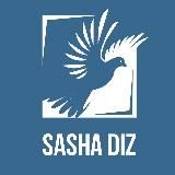 ШТОРЫ SASHA DIZ