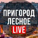 ПРИГОРОД ЛЕСНОЕ LIVE