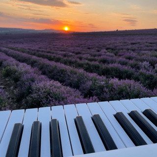 МУЗЫКА НА ЗАКАТЕ