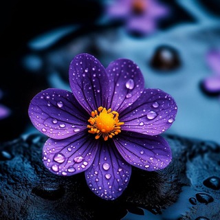 ВСЁ ДЛЯ СТОРИС - КРАСИВЫЕ ФОНЫ