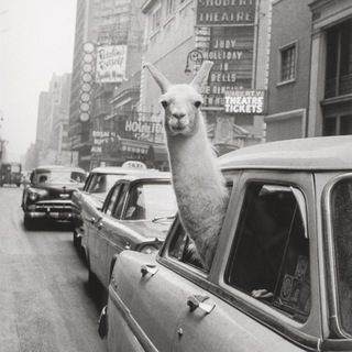 МИЛОВАНОВ DAILY