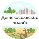 ДЕТСКОСЕЛЬСКИЙ ОНЛАЙН