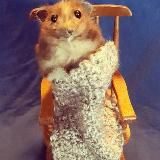 УЮТНЫЙ ТРЕЙД