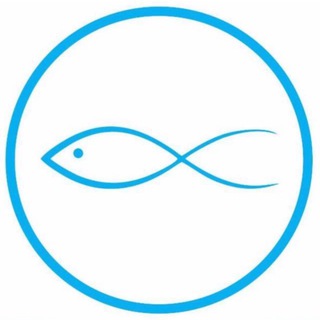 МОРЕПРОДУКТЫ N 1 | ПУТИЛКОВО