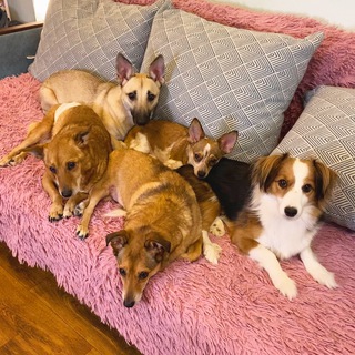 ХЛЕБОБУЛОЧНЫЙ КАНАЛ