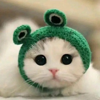 ПРОСТОКВАШИНО