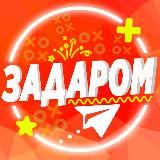 ЗАДАРОМ