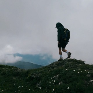 СТИХИ, БЕГ, ПЁС, ИТ — HEYSENYA