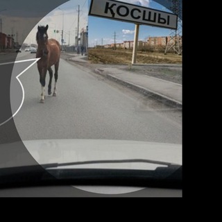 АСТАНА БАСШЫ БІЗ КОСШЫ ТЕЛЕГРАМ