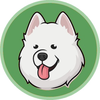 ГДЕ ТЫ, ДРУГ?