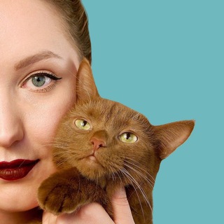 CATTALK ЗООПСИХОЛОГ