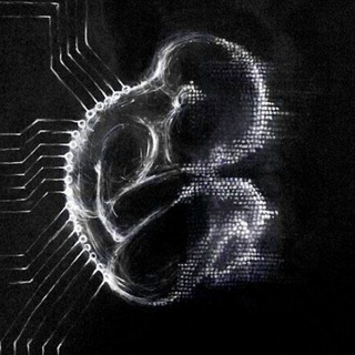 CONCEPT. | SOUND SYNTHESIS