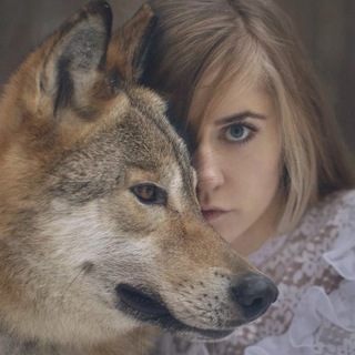 ЗООСТУДИЯ КОВЧЕГ